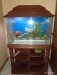 Fish Aquarium